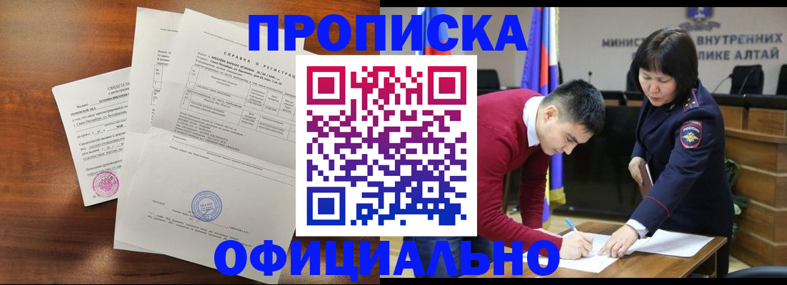 прописка 2025 в Елизово